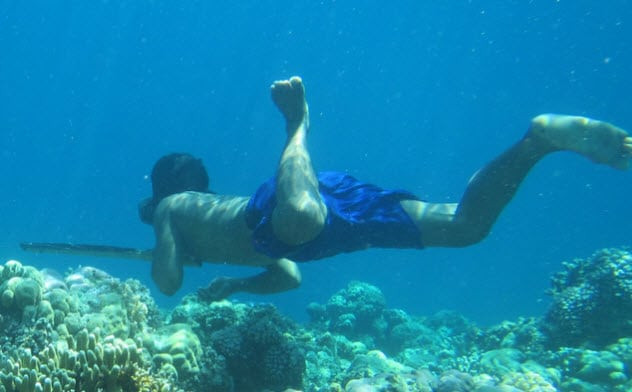 Người Bajau sống tại Indonesia là một trong những bộ tộc sở hữu siêu năng lực đáng kinh ngạc. Cụ thể, thành viên bộ tộc Bajau nổi tiếng với khả năng nhịn thở dưới nước khoảng 13 phút.
