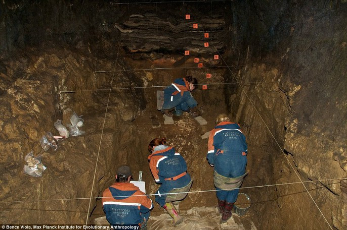 Theo các chuyên gia, cha của thiếu nữ này có một tổ tiên cách xa nhiều đời là người Neanderthal. Trong khi đó, mẹ của thiếu nữ có nguồn gốc từ nhóm người Neanderthal sống ở Tây Âu. Những bằng chứng khác cho thấy 2 nhóm người này đã tồn tại cho đến 40.000 năm về trước.