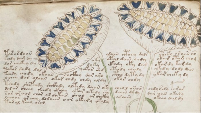 Bản thảo Voynich là một tài liệu bí ẩn thách thức nhân loại giải mã nội dung của nó. Với niên đại 600 năm tuổi, Voynich là tài liệu y học chỉ dẫn về chăm sóc sức khỏe phụ nữ, gồm có nhiều nội dung được sao chép lại từ những hướng dẫn khác.