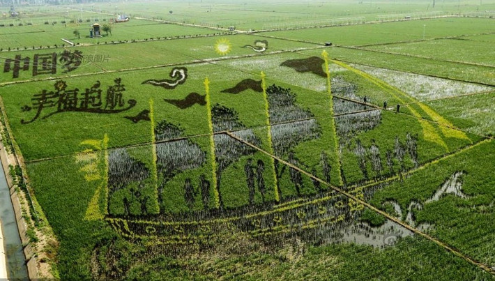 Đây là một truyền thống đặc sắc của nông dân nơi đây lúc nông nhàn với mục đích để cầu phúc. Họ lợi dụng không gian rộng lớn trên những cánh đồng thể thỏa sức sáng tạo nên những tác phẩm của riêng mình.