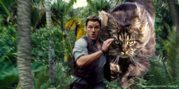 Ăn theo hiệu ứng của bộ phim "Jurassic World - Thế giới khủng long", loạt ảnh giả định "Purassic World - Thế giới mèo khổng lồ" cho thấy hình ảnh loài mèo khổng lồ, to và nguy hiểm như loài khủng long thời tiền sử do tài khoản Khan&Kitten trên trang Tumblr chia sẻ khiến ai cũng kinh ngạc. Bạn có từng nghĩ con người sẽ thế nào nếu mèo to như khủng long?