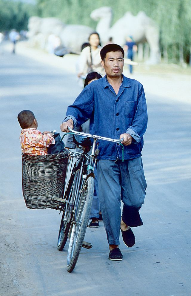 Người cha chở con nhỏ bằng xe đạp.