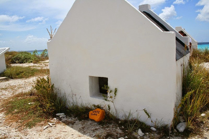 Theo đó, vài năm sau, người dân trở lại đảo Bonaire để nuôi dê, cừu, lợn, lừa và ngựa.