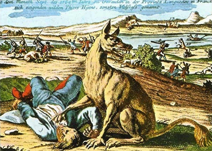 Đến cuối năm 1767, quái thú bí ẩn biến mất. Kể từ đó, không còn bất cứ vụ tấn công rùng rợn nào xảy ra. Đến nay, người ta vẫn chưa thể giải mã con quái vật giết hại khoảng 100 người thực chất là con vật gì.