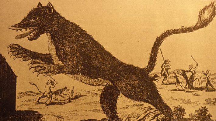 Vụ tấn công đầu tiên của quái thú bí ẩn này là vào tháng 6/1764. Jeanne Boulet, người chăn dắt một đàn cừu, được cho là nạn nhân đầu tiên của sinh vật bí ẩn rùng rợn trên.