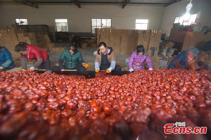 Hình ảnh bên trong nhà máy đóng gói quả chà là để phân phối cho khách đặt mua online.