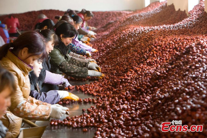 Quận Linxian là một cơ sở sản xuất quả chà là quan trọng ở Trung Quốc.