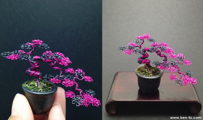 Mỗi cây bonsai chỉ cao từ 5 cm tới 10 cm, được đặt trong các loại chậu khác nhau do Jim Barret thiết kế.