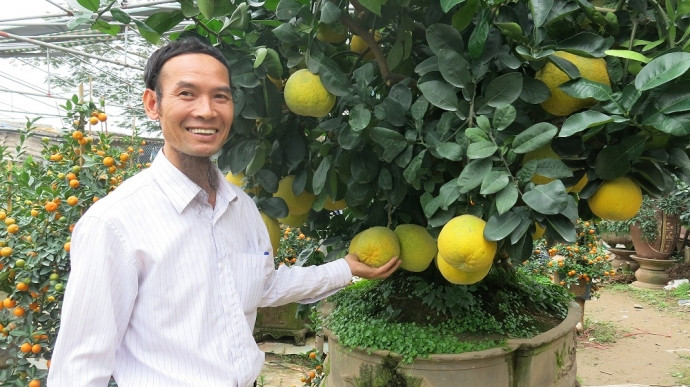 Cây bưởi cảnh Tết được đánh giá là có thế đẹp nhất nhì Hà thành của ông Bùi Thế Mạnh (Tứ Liên, Tây Hồ, Hà Nội) này có giá lên tới 150 triệu đồng và được cho thuê với giá 80 triệu đồng vì gia chủ không chịu bán. Ông Bùi Thế Mạnh bên cây bưởi diễn giá 150 triệu đồng. Ảnh Giao Thông.