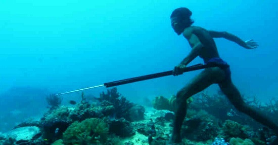 Ngoài cá, người Bajau còn lặn sâu dưới biển để tìm hải sâm, ngọc trai hay nhím biển, những sản vật quý hiếm. Sau đó, họ đổi những thứ đánh bắt được để lấy lương thực trên đất liền.