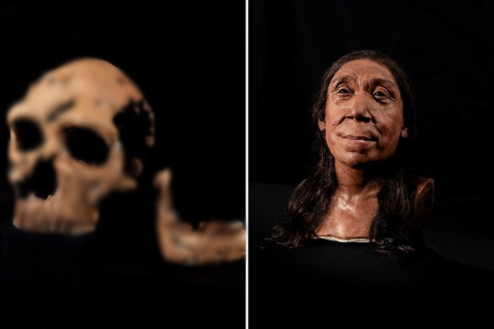 Người Neanderthal là họ hàng gần nhất của con người hiện đại. Họ sống ở lục địa Á-Âu từ khoảng 400.000 năm trước trước khi tuyệt chủng vào khoảng 40.000 năm trước.