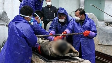 Lông mày và lông mi của người phụ nữ này vẫn còn nguyên, giống như mới qua đời cách đây không lâu.