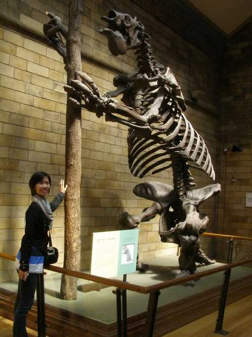 Từ lâu, giới nghiên cứu suy đoán quái thú Megatherium tuyệt chủng là do vấn nạn săn bắt của con người cộng với việc mất môi trường sống. Tuy nhiên, họ vẫn chưa tìm được bằng chứng xác thực để chứng minh quan điểm này.