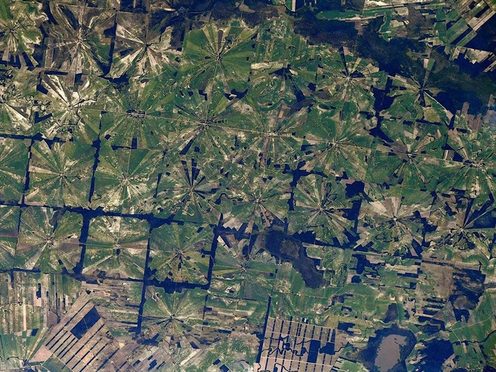 Những hình ảnh như ngôi sao ở San Pedro Limón, Bolivia do phi hành gia trên trạm ISS chụp được là khu vực rừng khô nhiệt đới bị phá để làm nông nghiệp.