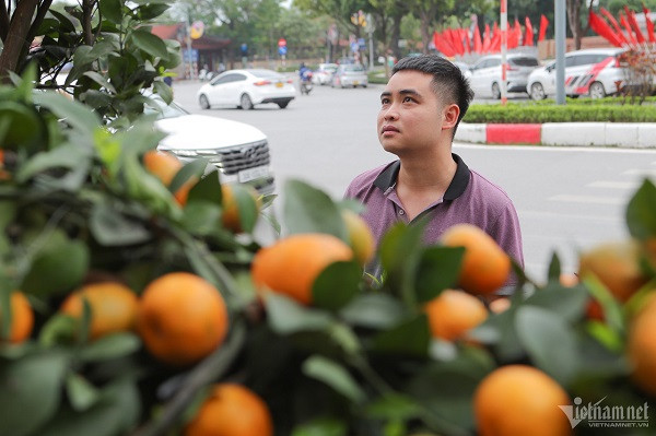 Nắm bắt xu hướng chơi cây cảnh độc đáo dịp Tết Giáp Thìn, anh Nguyễn Đức Anh (nghệ nhân trồng cây cảnh ở Bắc Từ Liêm, Hà Nội) đã trồng 10 cây quýt hình rồng có giá khởi điểm từ 100 triệu đồng/cây, bao gồm cả chi phí vận chuyển. Đây là những tác phẩm được anh Đức Anh mất 3-4 năm chăm sóc và tạo hình.