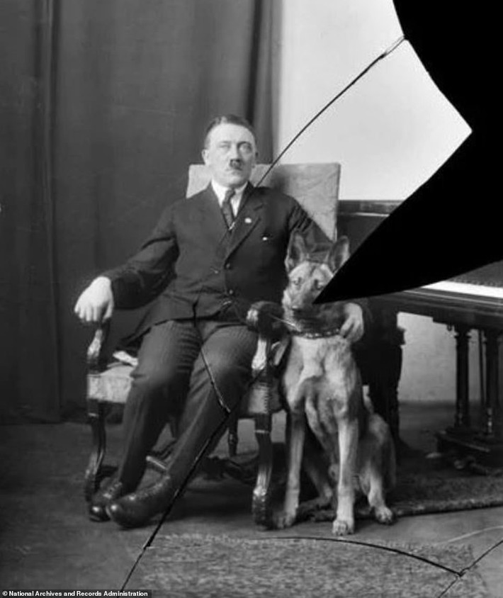 Trùm phát xít Hitler chụp ảnh bên chú chó Alsatian yêu quý. Bức ảnh này được chụp khi Hitler 34 tuổi.