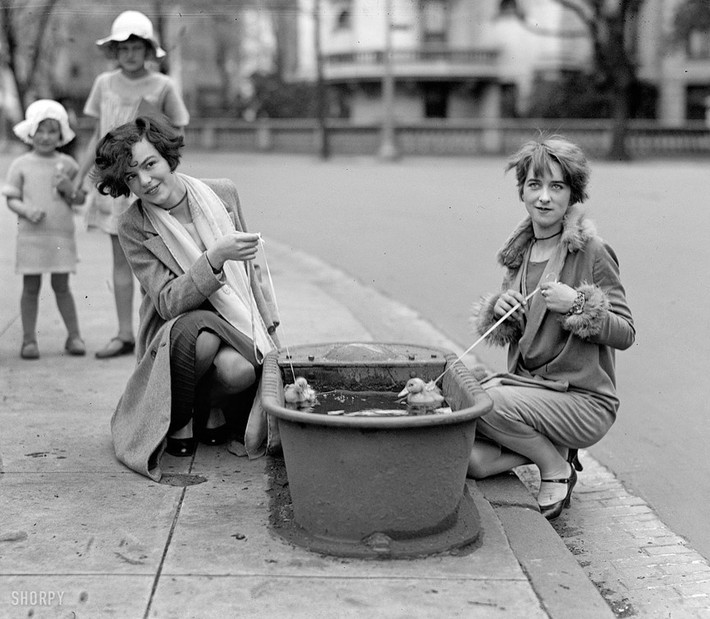 Hai phụ nữ trẻ ở Washington DC dắt vịt đi chơi năm 1927. Hành động của nó khiến nhiều người bất ngờ và cảm thấy thích thú.