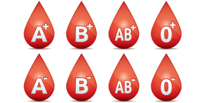 Trên thực tế, mỗi người trên Trái đất mang trong mình 1 nhóm máu: O, A, B hoặc AB. Các nhà khoa học tiếp tục chia nhỏ các nhóm máu trên thành 2 loại RH- và RH+.