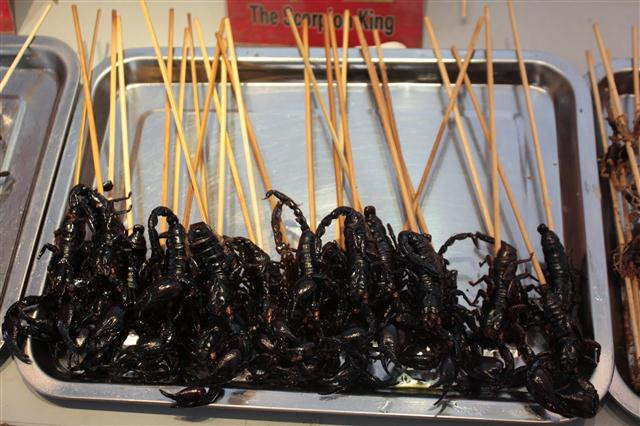 Chợ đêm Donghuamen có vô vàn gian hàng bán các loại côn trùng nướng. Đây là món ăn khoái khẩu của người dân địa phương nhưng nó lại là thực phẩm kinh dị với người châu Âu.