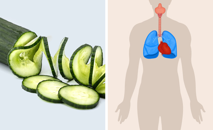 Dưa chuột giúp loại bỏ axit và độc tố khỏi cơ thể. Ngoài ra, chúng loại bỏ các gốc tự do nhờ các flavonoid. Các gốc tự do có thể dẫn đến sự phát triển của các bệnh tim mạch, liên quan đến phổi và tự miễn dịch. Dưa chuột cũng có giá trị calo thấp, thường được thêm vào chế độ giảm cân.