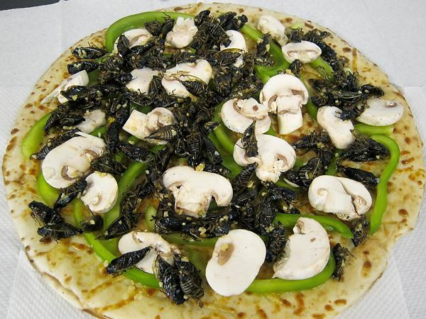 Trên thế giới, còn có nhiều loại pizza kỳ quặc khác như pizza ve sầu của Mỹ. Những con ve vừa lột xác và ra khỏi lòng đất được dùng để làm salad, bánh taco và nhân pizza. Chúng có vị bùi và giòn rất hấp dẫn. Ảnh: Inland360.