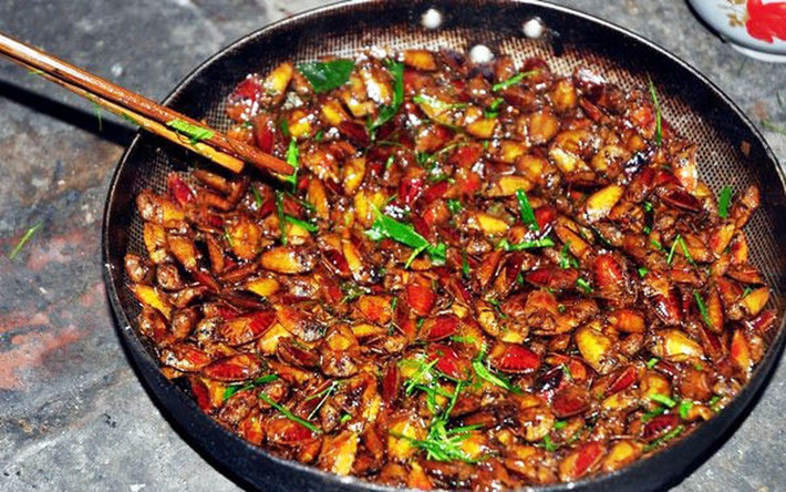 Bọ xít: Du khách đến xứ Mường đều không thể quên món ăn được liệt vào hàng gớm nhất có tên: Bữa tiệc côn trùng. Côn trùng ở đây là những con bọ xít hôi. Bọ xít thường xuất hiện nhiều khi cây nhãn, vải nở hoa và người dân địa phương thường dùng vợt để bắt.
