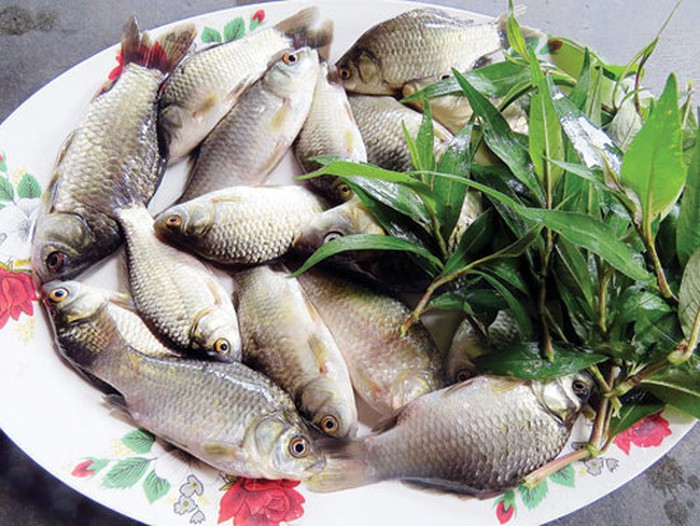 Cá diếc: Cũng như cá chạch, đây cũng là 1 vị thuốc dùng trong đông y chữa bệnh sinh lý rất tốt giúp bồi bổ khí huyết, bổ thận cố tinh, tăng cường khả năng "yêu", chữa bất lực. Cá diếc làm sạch, cho vào nồi cùng với kim anh tử, đổ xấp nước và hầm nhỏ lửa cho nhừ, thêm gia vị vừa ăn. Ảnh: Zing.