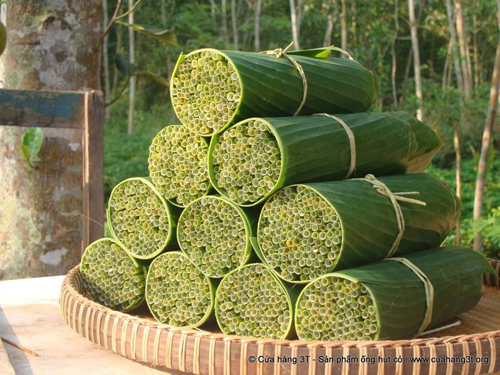 Có rất nhiều lựa chọn thay thế cho ống hút nhựa. Những chiếc ống hút trong ảnh được làm từ cỏ hoang.