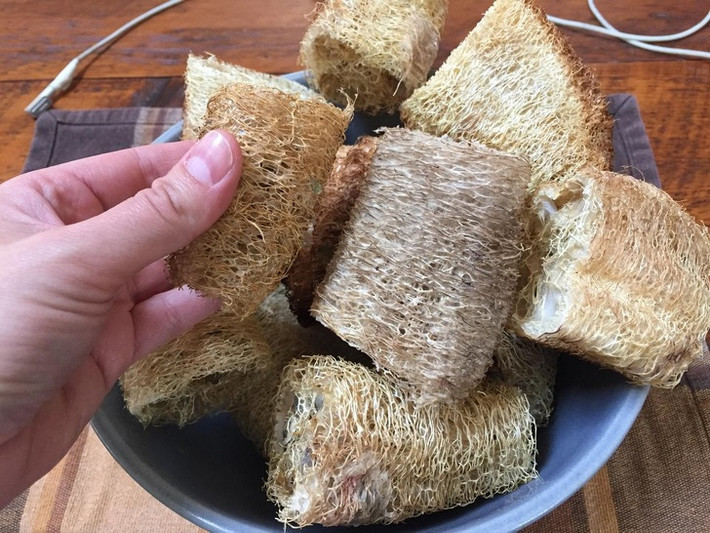 Để hạn chế rác thải hại môi trường, bạn có thể sử dụng xơ mướp thay vì miếng bọt biển nhà bếp.