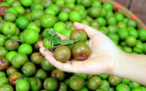 Mận là loại trái cây yêu thích của rất nhiều người trong mùa hè. Tuy nhiên, không nên lạm dụng, ăn quá nhiều loại quả này bởi mận có tính nóng, ăn nhiều sẽ khiến cơ thể bị nóng trong có thể gây phát ban, mụn nhọt, nhất là đối với những người cơ địa có tính nhiệt.