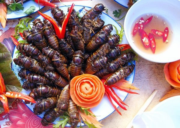 Có rất nhiều món ngon từ ve sầu như rang lá chanh đến tẩm bột chiên xù, thậm chí có thể làm món cháo ve sầu. Tuy nhiên, trước khi nấu phải nhặt sạch sẽ rồi ngâm ve qua nước muối, sau đó trần qua nước sôi để đảm bảo sạch.