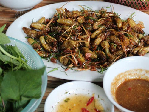 Một số trường hợp ngộ độc xảy ra khi ăn nhộng ve thường do sử dụng ve đào dưới đất đã chết và có hình dạng khác thường như cây nấm (do nhiễm nấm độc ký sinh).