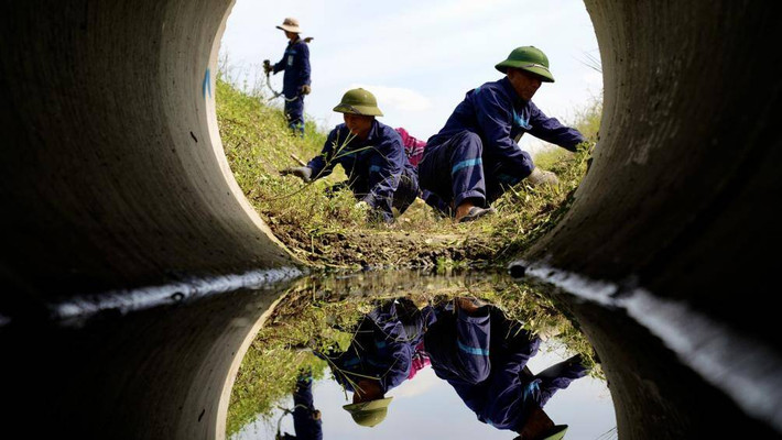 Đội bảo trì sân đường cắt cỏ, nạo vét mương.