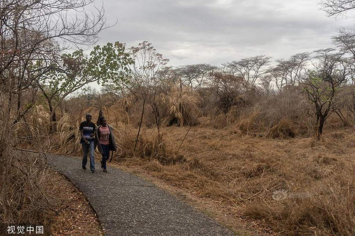 Quang cảnh tiêu điều, không chút sức sống ở vườn quốc gia Wanda, Zimbabwe.