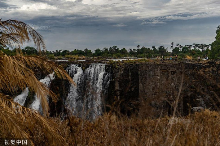 Không còn cách nào khác, cơ quan quản lý động vật hoang dã Zimbabwe cho biết, trong phương án sắp tới, họ sẽ di chuyển hàng trăm con voi và các loại động vật hoang dã khác đến nơi có đủ nước cung cấp cho chúng.