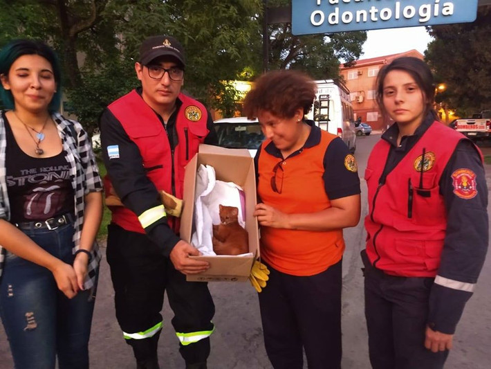 Theo thông tin đăng tải, cô Florencia Lobo, ở Tucumano, Argentina mới đây trong lúc đi dã ngoại đã tìm thấy một chú mèo con đáng thương trong một hang động gần Santa Rosa de Leales.