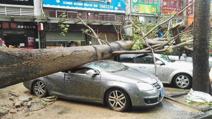 Cơn bão đánh bật nhiều gốc cây cổ thụ đổ xuống đè bẹp nhiều chiếc ô tô ở tỉnh Quảng Đông. Ảnh: News.cn.