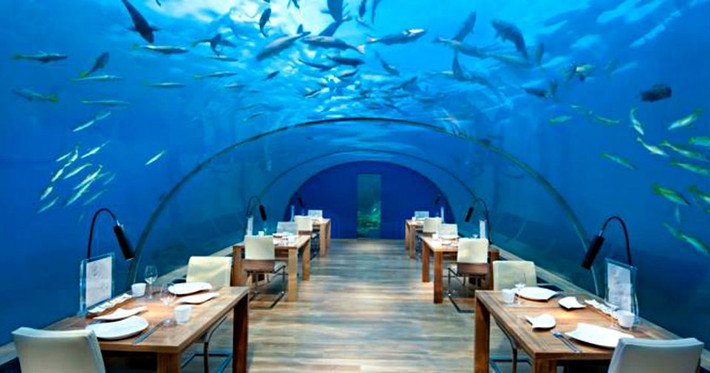 Nhà hàng dưới nước Ithaa Undersea, Đảo Rangali ở Maldives: Là một trong những nhà hàng đắt nhất ở Maldives, Ithaa cho phép bạn thưởng thức bữa ăn 7 món, được đầu bếp chuẩn bị ở dưới đại dương. Ở đây, thực khách có thể vừa ăn uống vừa ngắm các sinh vật biển như cá và san hô đầy màu sắc. Ảnh: Facebook.