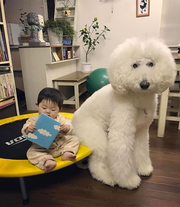 Hai người bạn cùng nhau đọc sách nào.