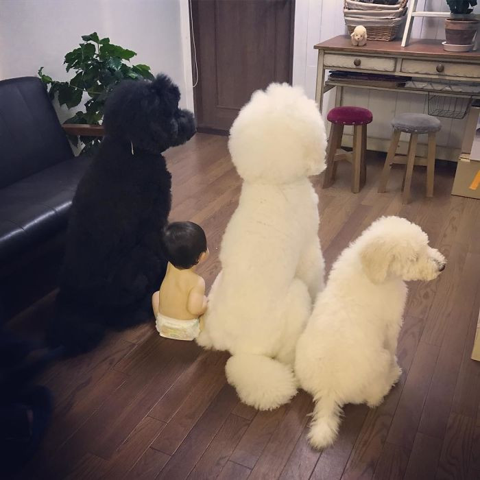 Bốn "người bạn" cùng chung một chí hướng.