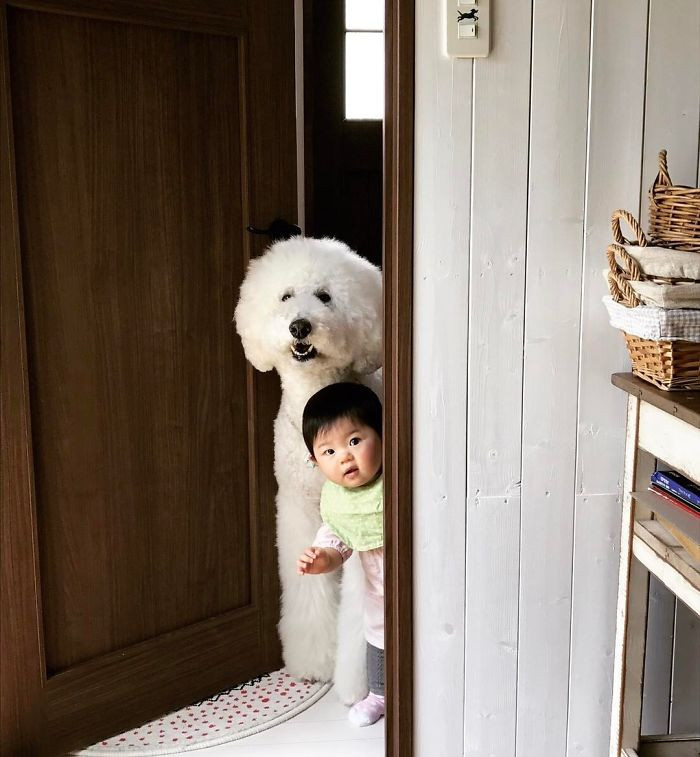 Cô bé có nhiều bức ảnh dễ thương chụp cùng chú chó Riku.