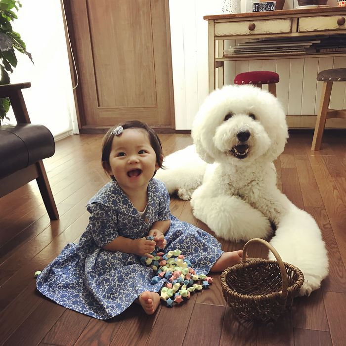Chơi đồ hàng nhé!