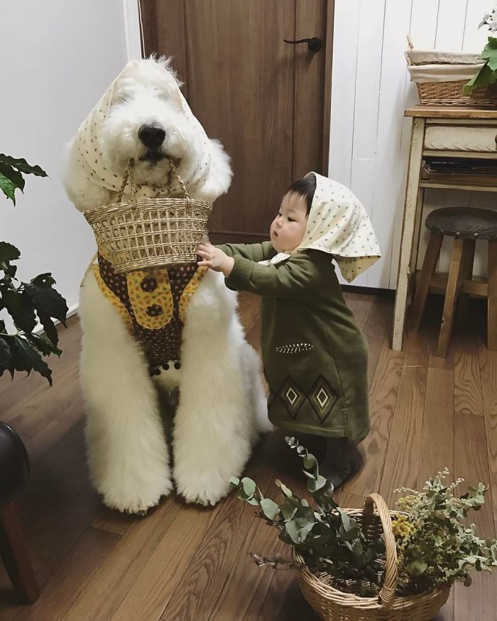 Cùng đi chợ nào!