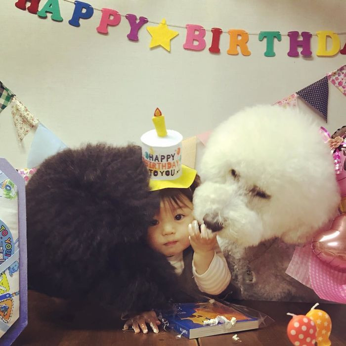 Cô bé đón sinh nhật cùng chó cưng.