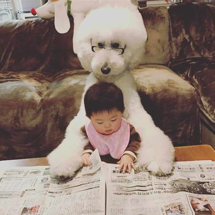 Bộ ảnh bé gái Nhật Bản và những chú chó cưng chơi đùa quấn quýt đang gây sốt mạng xã hội. Ảnh: Bored Panda.