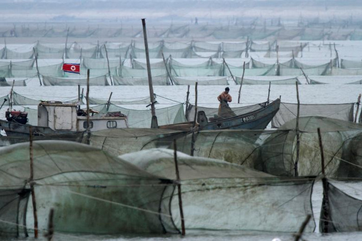 Khu đánh cá của Triều Tiên trên sông Yalu ở Sinuiju, đối diện với biên giới Trung Quốc, ở thành phố Đan Đông, tỉnh Liêu Ninh, ngày 1/5/2016. Ảnh chụp từ phía sông Yalu của Trung Quốc. Ảnh: Reuters.