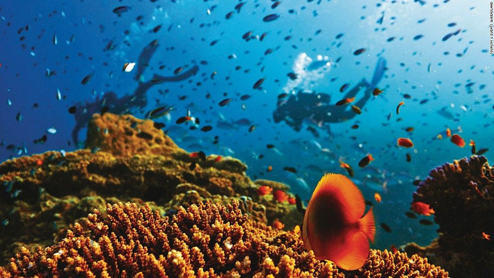 Rạn san hô Great Barrier Reef Marine, Australia. Ảnh: CNN.