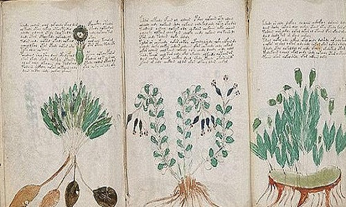 Ra đời từ đầu thế kỷ 15, bản thảo Voynich bí ẩn được cho viết dưới dạng mật mã để che giấu nội dung thật. Đây được xem là một thủ thuật khá phổ biến vào thời kỳ đó.