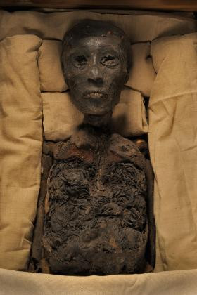 Tuy nhiên, sau khi mở lăng mộ của pharaoh Tutankhamun, một số người có có mặt lúc mở mộ qua đời một cách đột ngột và bí ẩn.