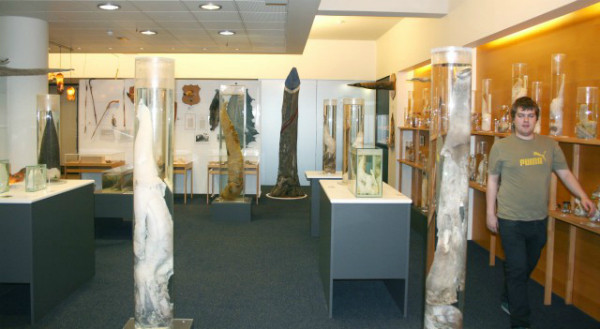Bảo tàng Icelandic Phallological, hay còn được biết tới với tên gọi bảo tàng dương vật, nằm ở Reykjavík, Iceland khiến không ít du khách đỏ mặt khi nơi đây trưng bày hơn 280 mẫu dương vật động vật, lấy từ 93 loài, bao gồm 55 mẫu lấy từ cá voi, 36 từ hải cẩu và 118 từ động vật có vú trên mặt đất, và thậm chí có cả dương vật người.